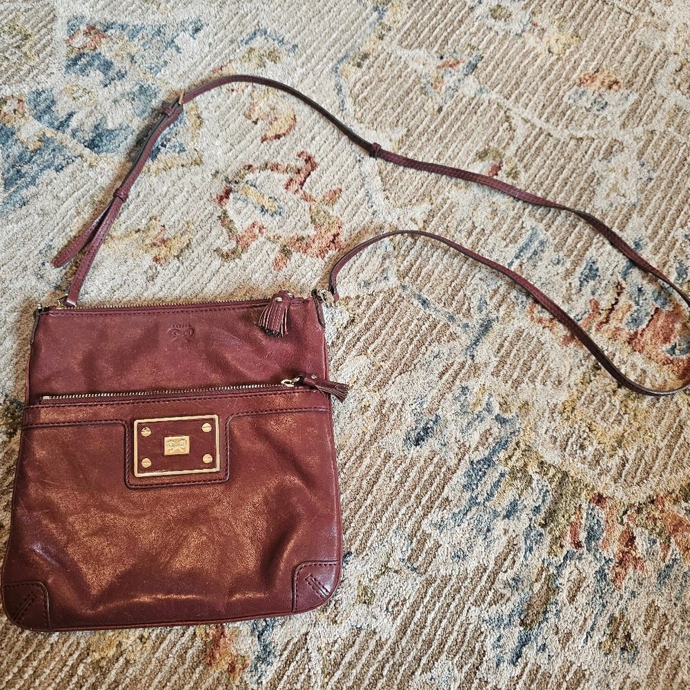 Anya Hindmarch red/berry color leather crossbody bag.